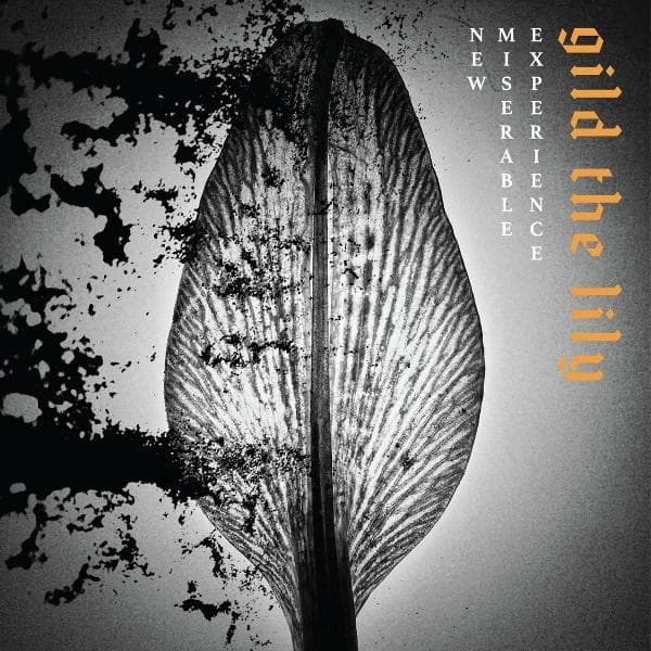 Album afbeelding 1 van 1