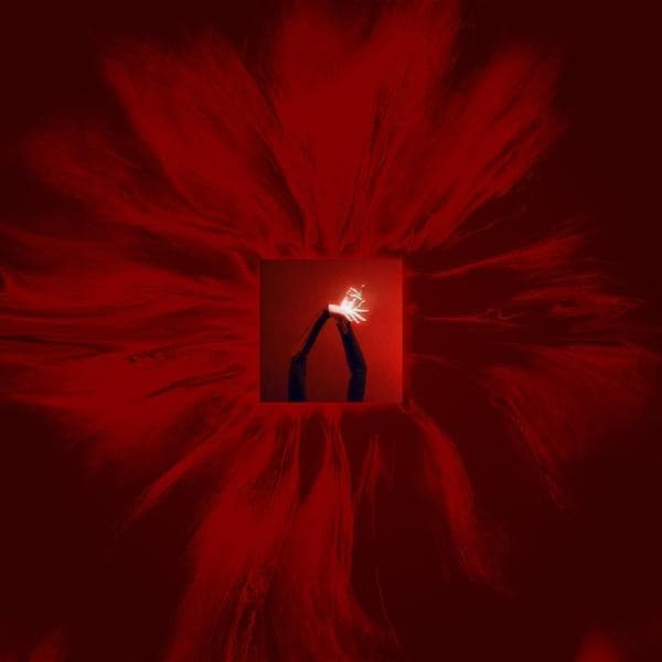 Album afbeelding 1 van 1