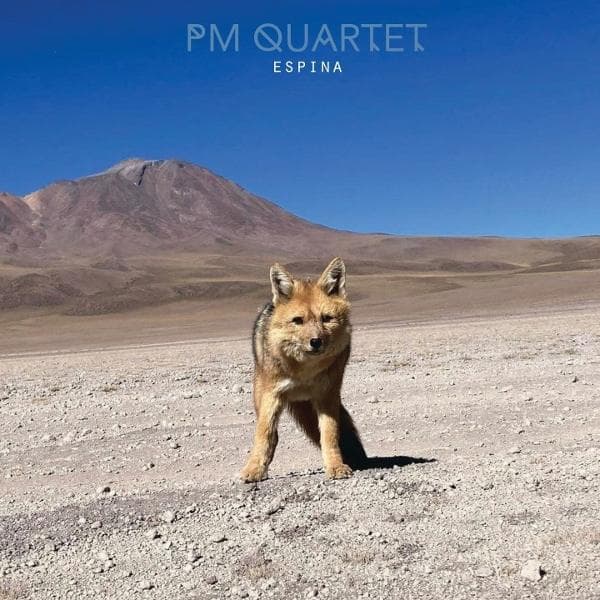Album afbeelding 1 van 1
