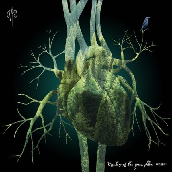 Album afbeelding 1 van 1