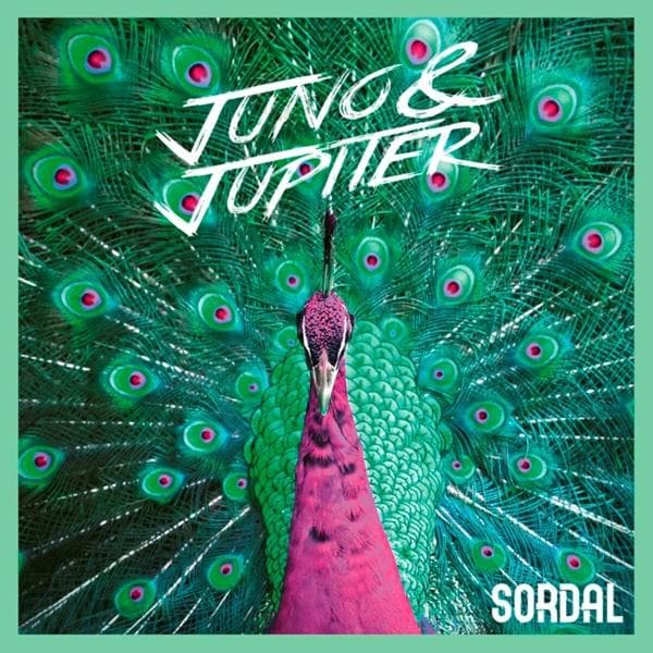 Album afbeelding 1 van 1