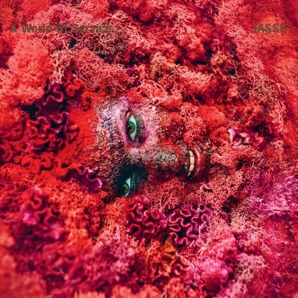 Album afbeelding 1 van 1