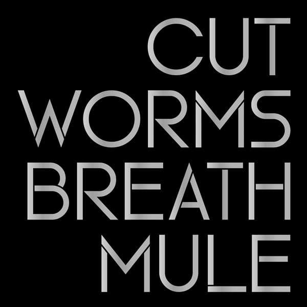 Album afbeelding 1 van 1