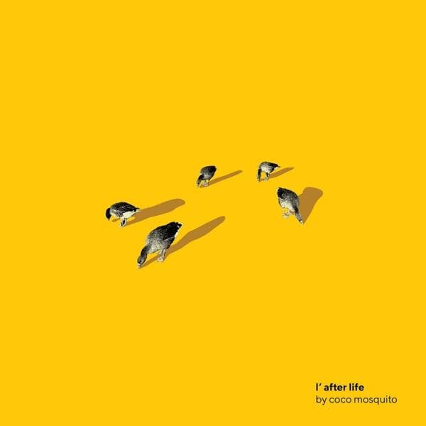 Album afbeelding 1 van 1