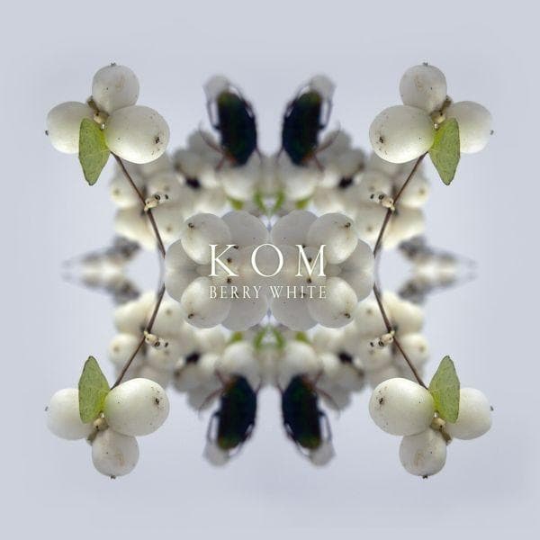 Album afbeelding 1 van 1