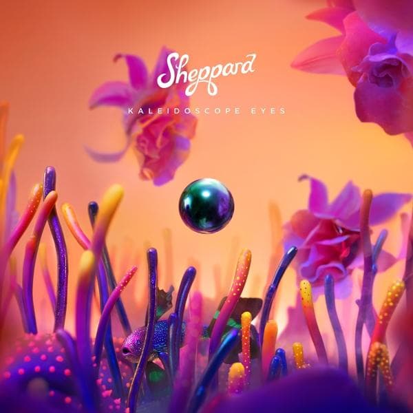 Album afbeelding 1 van 2