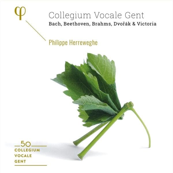 Album afbeelding 1 van 2