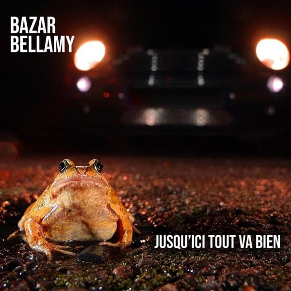 Album afbeelding 1 van 1