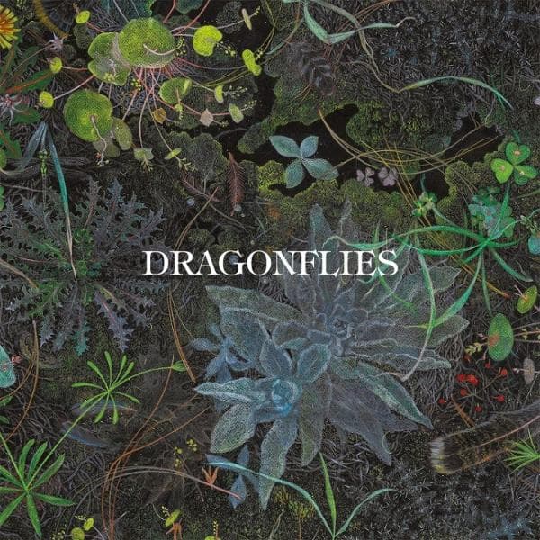 Album afbeelding 1 van 1