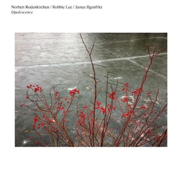 Album afbeelding 1 van 1