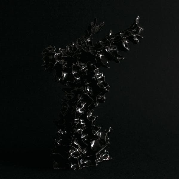 Album afbeelding 1 van 1
