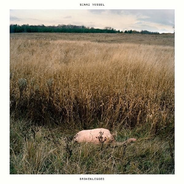 Album afbeelding 1 van 1