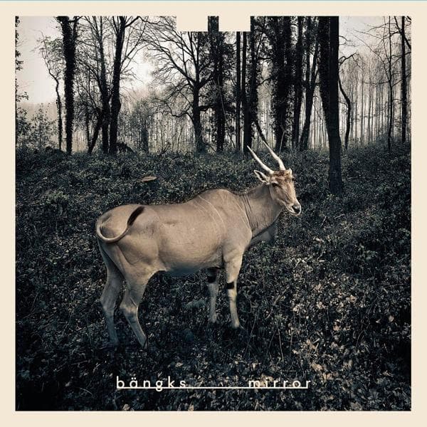 Album afbeelding 1 van 1