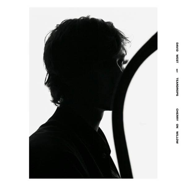 Album afbeelding 1 van 1