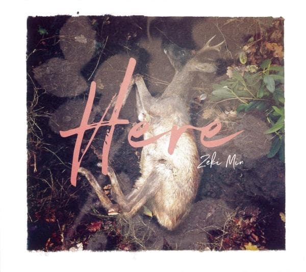 Album afbeelding 1 van 2