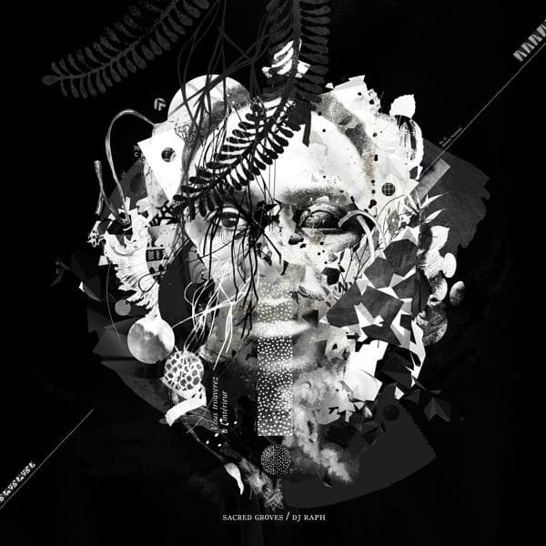 Album afbeelding 1 van 1