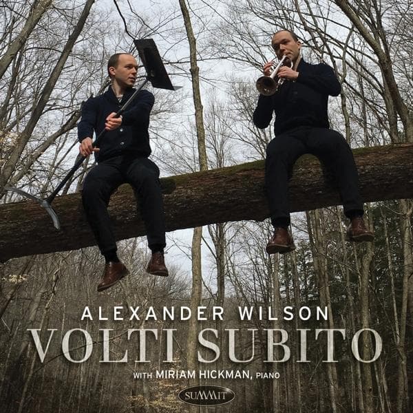 Album afbeelding 1 van 1