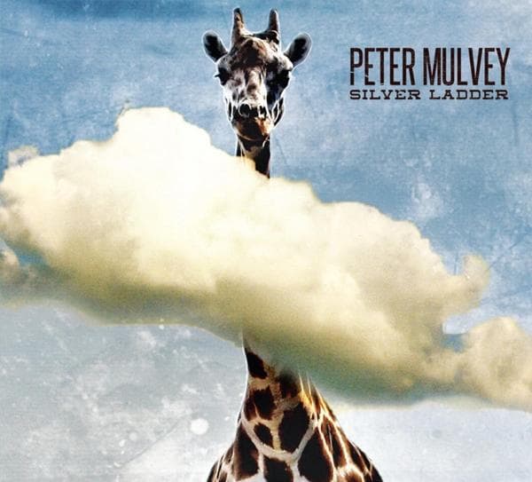 Album afbeelding 1 van 1