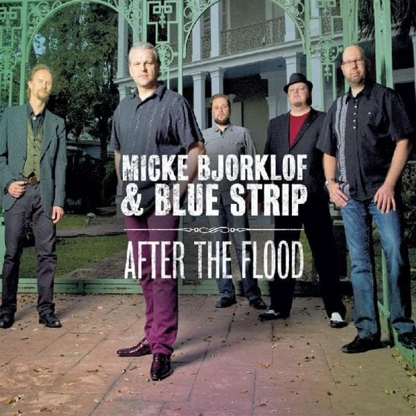 Album afbeelding 1 van 1