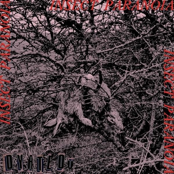Album afbeelding 1 van 1
