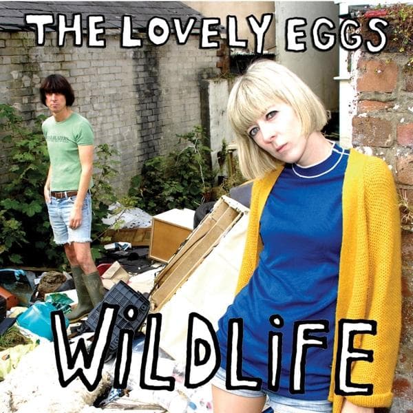 Album image