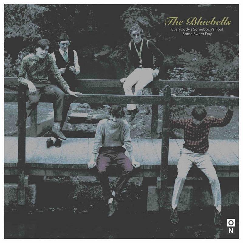 Album afbeelding 1 van 1