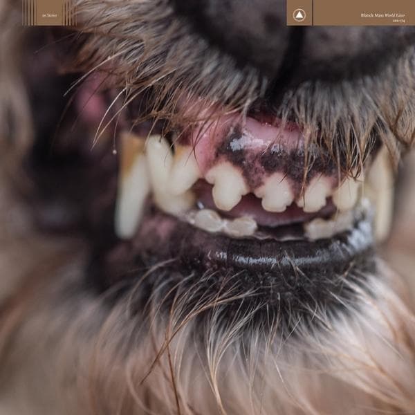 Album afbeelding 1 van 1