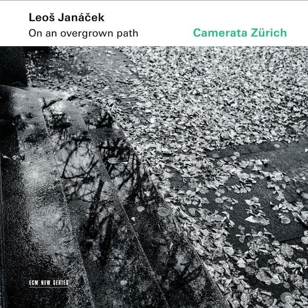 Album afbeelding 1 van 1