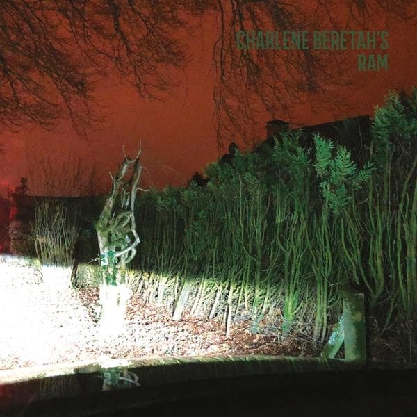 Album afbeelding 1 van 1