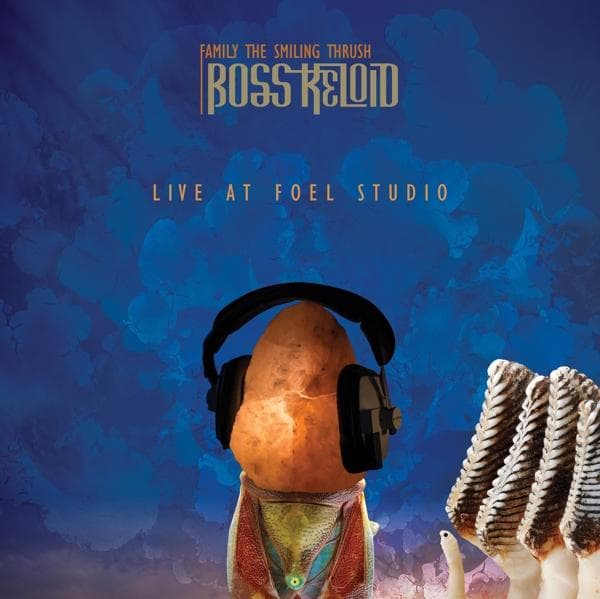 Album afbeelding 1 van 1
