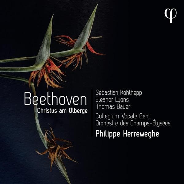 Album afbeelding 1 van 2