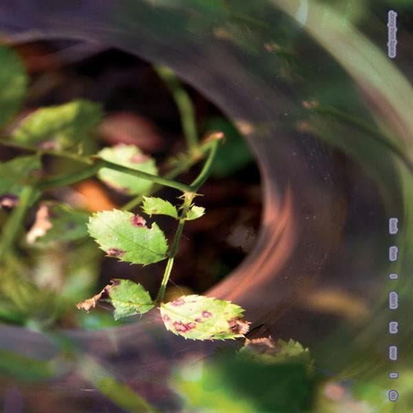 Album afbeelding 1 van 1