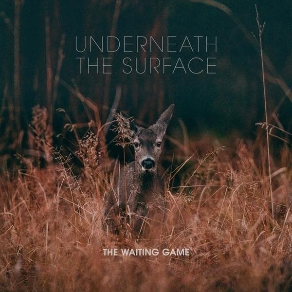 Album afbeelding 1 van 1