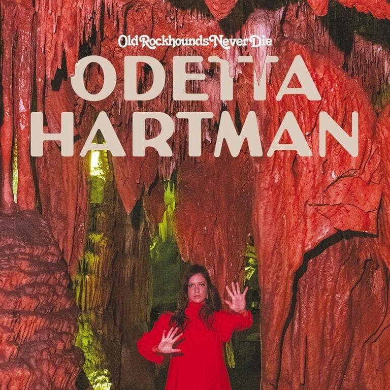 Album afbeelding 1 van 1