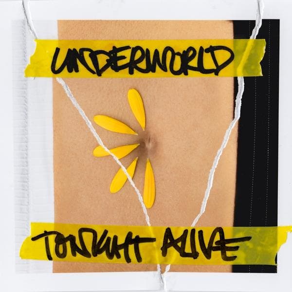 Album afbeelding 1 van 1