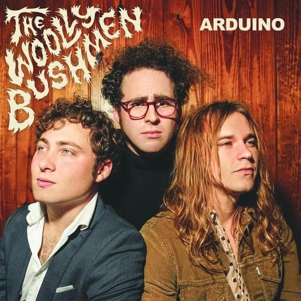 Album afbeelding 1 van 1