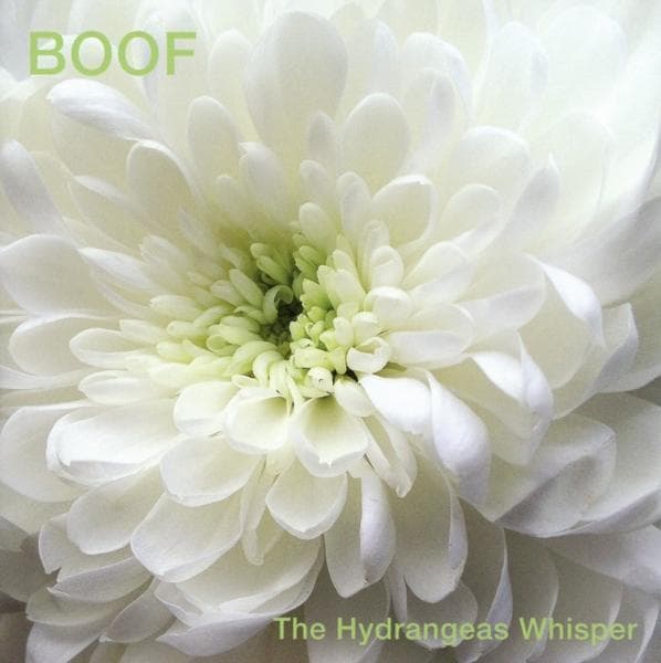 Album afbeelding 1 van 2