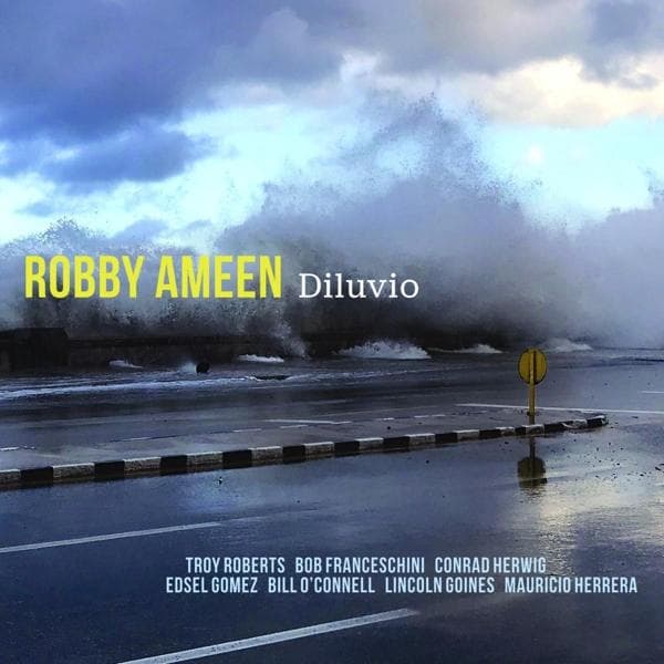 Album afbeelding 1 van 2