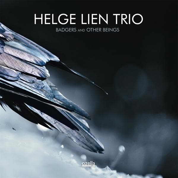 Album afbeelding 1 van 1