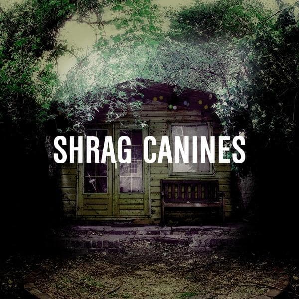 Album afbeelding 1 van 1