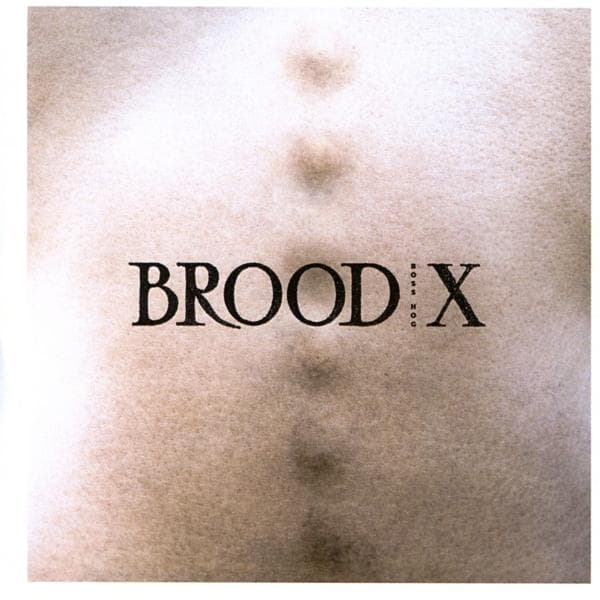 Album afbeelding 1 van 2