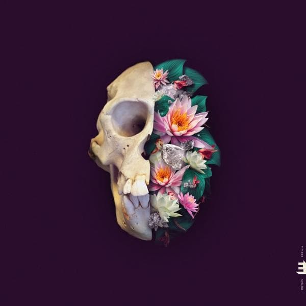 Album afbeelding 1 van 1