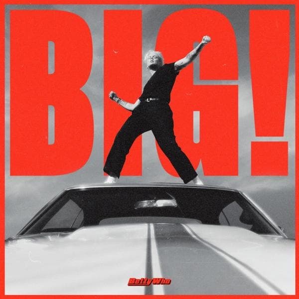 Album afbeelding 1 van 2