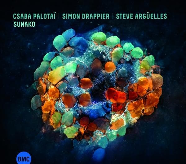 Album afbeelding 1 van 1