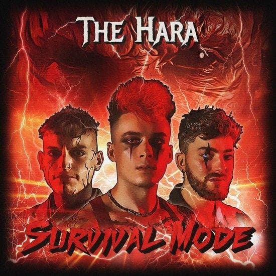Album afbeelding 1 van 1