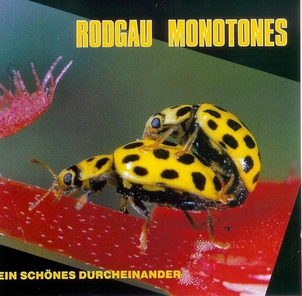 Album afbeelding 1 van 2