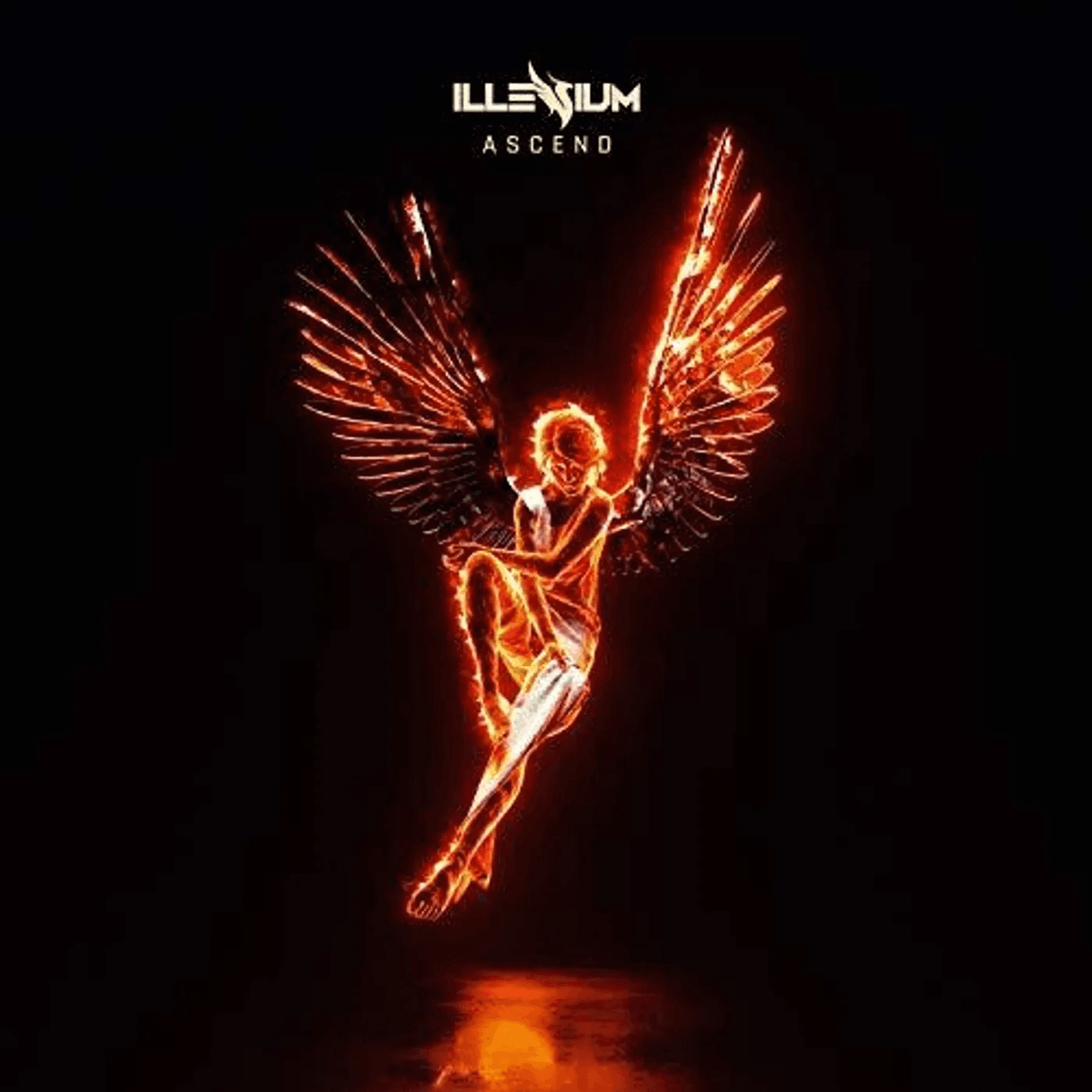 Album afbeelding 1 van 1
