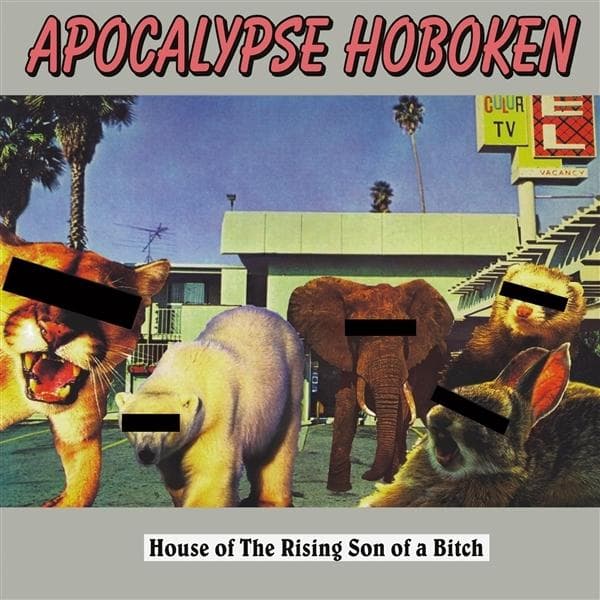 Album afbeelding 1 van 1