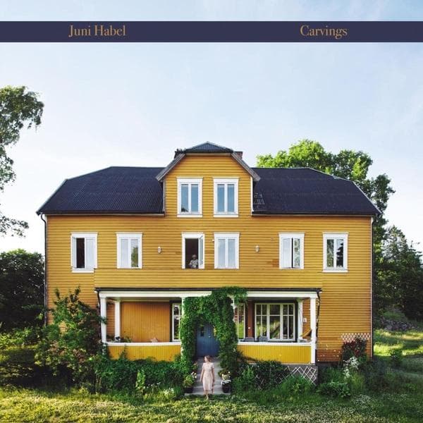 Album afbeelding 1 van 1