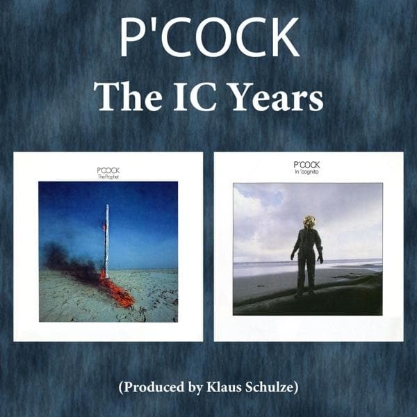 Album afbeelding 1 van 1